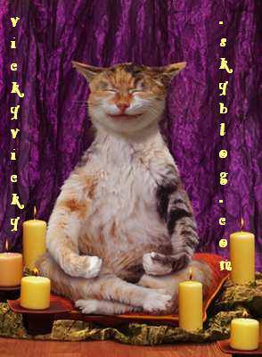 mon chat